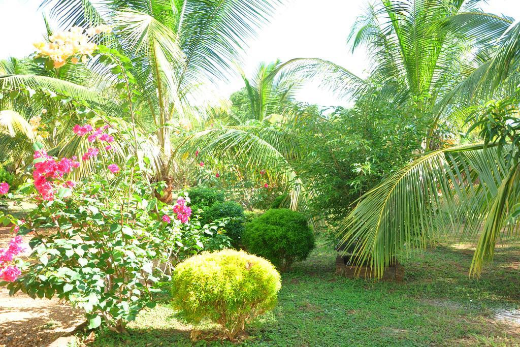 Coconut Garden House Udawalawe Exterior foto
