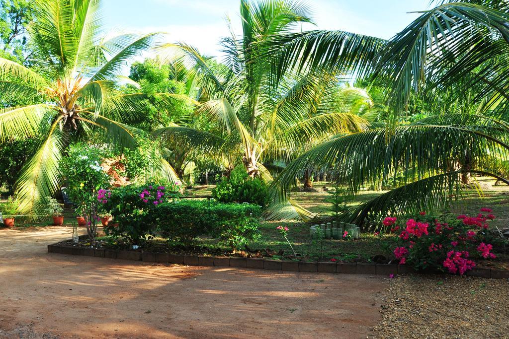 Coconut Garden House Udawalawe Exterior foto