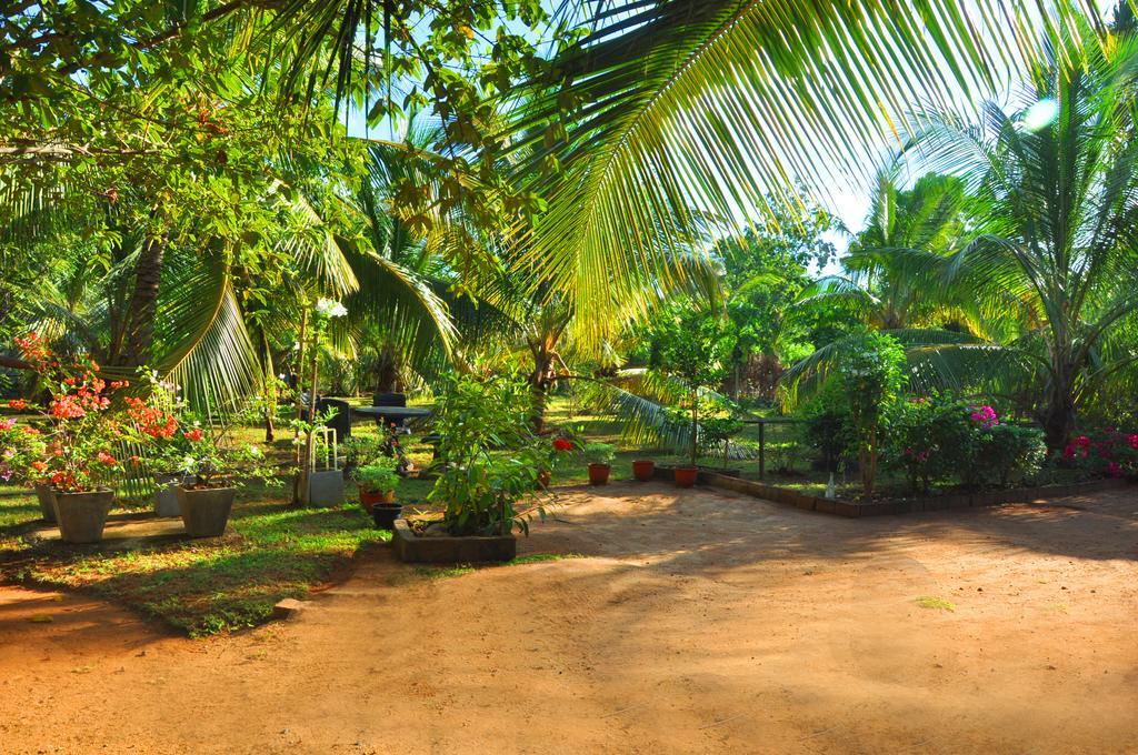 Coconut Garden House Udawalawe Exterior foto