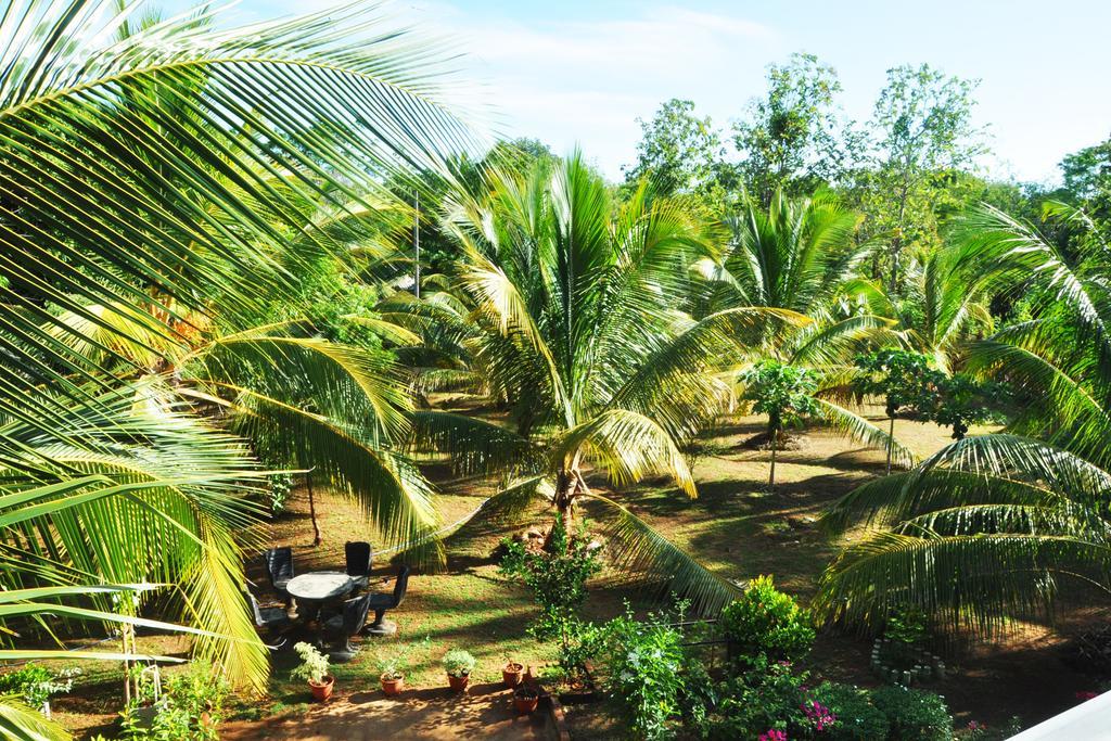 Coconut Garden House Udawalawe Exterior foto